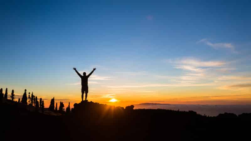 Life creation - creator of your life